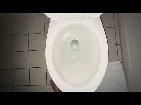 🚽 Bathroom Tour: American Standard Toilet at Quality Inn Rapid City