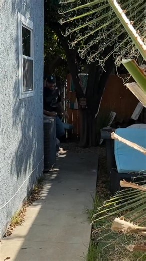 120K views · 3.2K reactions | @michaelslayersofficial really slayed us  | The Williams Fam | Facebook