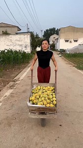 121K views · 436 reactions | Love degree incentive plan Why is the money gone | Tara Ria | Facebook