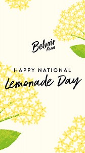 Sip, celebrate, and refresh with #NationalLemonadeDay and Belvoir Farm’s lemonade lineup! From our Elderflower and Rose Lemonade to our exquisitely scented blend of freshly picked elderflowers fresh lemon juice and sparkling water from the Belvoir springs in Belvoir Farms Elderflower Lemonade, we have all your Lemonade Day needs met with the best ingredients possible! Serve chilled on their own or mixed into fancy cocktails.🍋 Shop our entire range of Belvoir Farm lemonades at the link below 🍋 