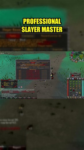 I Tried To Be A Professional Slayer Master