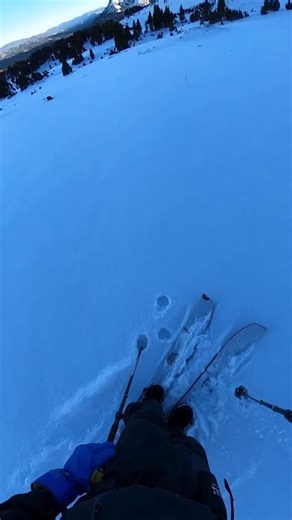 Mitchell Ryan on Instagram: "Free the Heel ⛷️ @pilotsroost #snowboarding #snowboardinglife #skiiing #skiinglife #skiseason #montana #cookecity #pilotsroost #powder #splitboard"