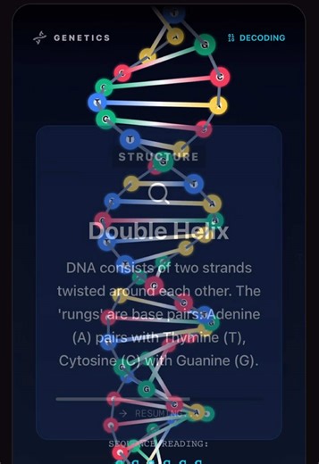DNA Replication Explained: The Blueprint of Life