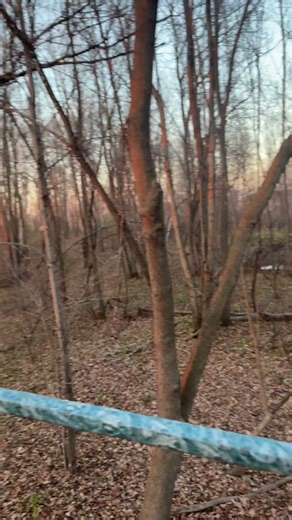 MN deer hunting #godsgood #hunting #deerhunting