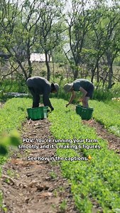 This is what changes everything: 🗺️ A plan. ⚙️ Systems that work. 📘 A clear structure. The Masterclass is the complete playbook. Everything you need to stop guessing and start building a farm that works financially and long-term. https://themarketgardener.com/courses/the-market-gardener-masterclass/ | Market Gardener Institute