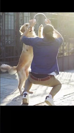 Why Do Dogs Jump on People? | Weird Dog Habits Explained