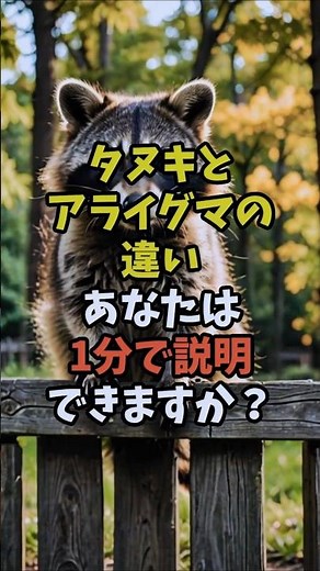 1分で説明「タヌキとアライグマの違い」