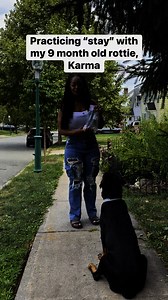 63K views · 1.1K reactions | I am not a dog trainer lol this is how I train MY DOG | Trendy Topic Tiff | Facebook