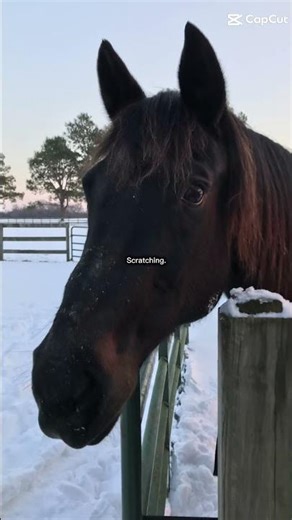 hopped on this trend again! #edit #viral #fyp #fypシ゚viral #fypシ #vibin #tydy #jayn #mattyb