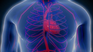 8 Minute BEMER Story