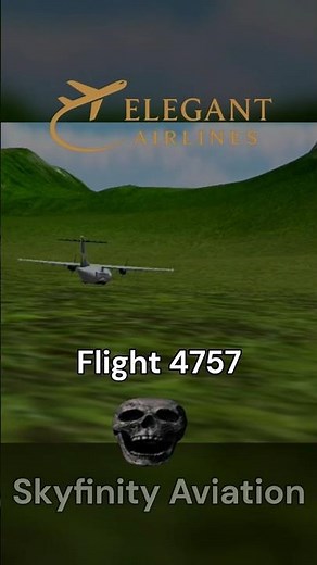 Pilots WHO did the IMPOSSIBLE #tfs #tfsgaming #aviation #tfshorts #planecrash #crash #plane