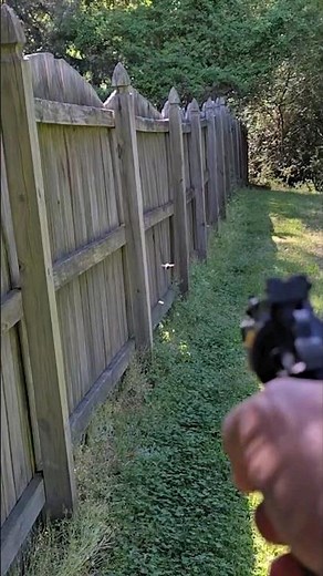 BUG A SALT! Carpenter Bees vs Pellet Pistol (with salt loads) #bees #pestcontrol #bugs