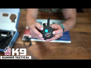 E-Collar Mini Educator ET-300 How to