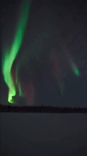 Les aurores boréales en Finlande 😍​ #finland #finlande #lesminimondes #finlandia #noel