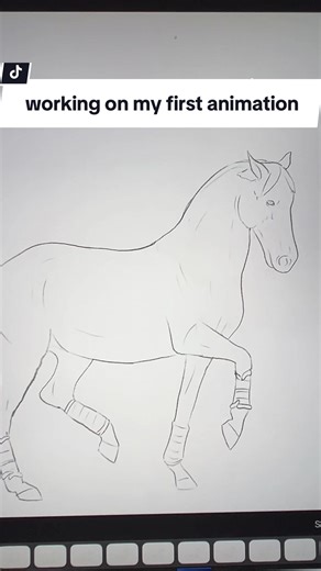 Creating My First Animation: A Digital Art Journey