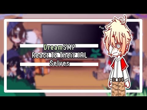 Dsmp/mcyt members react to their IRL selves |