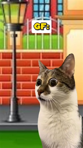 Bully was left speechless 😅 (CAT VERSION🐈) ‎⁨@marrkadams89⁩ | Shercat Holmes Junior
