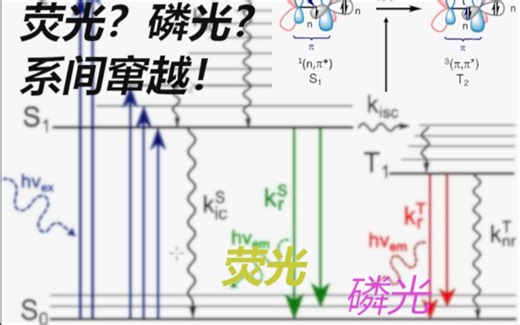 【量子小知识】详细讲讲什么是荧光，什么是磷光？系间窜越(intersystem crossing)又是什么？