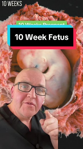 10 Weeks Pregnant: Exploring Baby Development in the Womb
