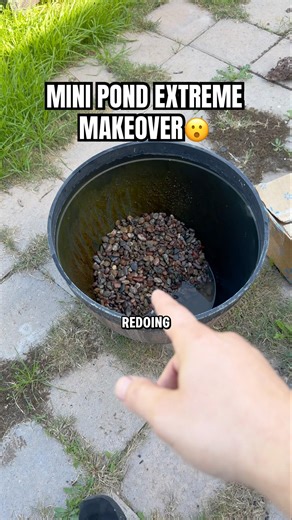 MINI POND EXTREME MAKEOVER😮 #minipond #patiopond #pondbuild #backyardpond #pondlife