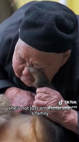 Discover the Charm of Xingxing the Monkey