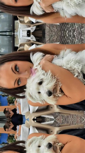 Video di Francesca Enea (@francesca.enea0) con son original - 🇧🇪Ludovic devos🇧🇪