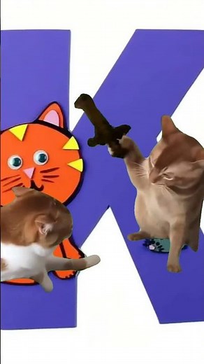 Two Cats Fighting – Funny Cat Comedy Video 🐱😂 | Cute & Hilarious Cat Fight Moments