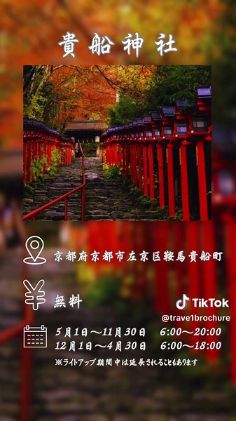 京都の神社旅で心をリセット