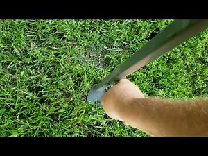 Coleman Canopy Screen Room Setup - CampersaGoGo