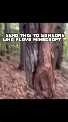 What happened to the gravity?😭#viral #memes #funny #lifeisbutadream #minecraft #trending