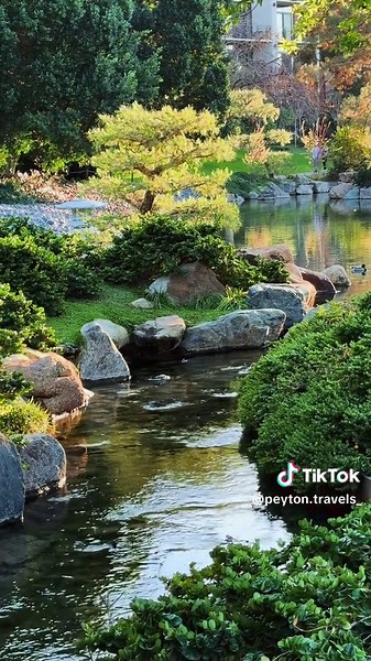 Discover the Beauty of the Japanese Garden in Phoenix