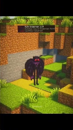 Minecraft usefull mode