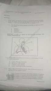 1.1.1 The following are density dependent factors that can affe... | Filo