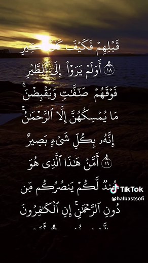 Exploring Surah Al-Mulk: Meaning and Significance