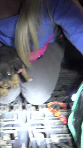 It took SIX HOURS for us to complete this rescue!!! Full rescue video here: www.HopeForPaws.org ❤️ #dog #dogsoftiktok #rescue #rescuedog #love #cute #puppy #puppies #hopeforpaws #puppiesoftiktok