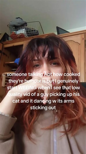 Funny Cat Video Compilation