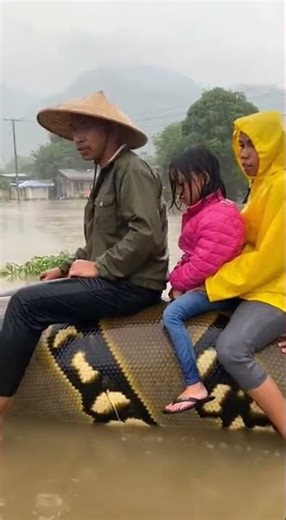 During a Massive Flood, Some Locals Ride a Giant Python in an Incredible Moment