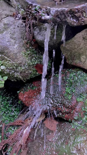 昨日の夜母と喧嘩した 私が悪いんだと思う でも「黙れ！！」って言ってしまった。 お母さんの声を聞きたくなかったから。 でもお母さんは「黙らんよ！！」 私｢うるさいから、お願いやけん一旦黙って…！」 母「黙らんよ！何があっても黙らんよ！」 って 私は黙ってくれない怒りと、耳鳴りがして怒ってしまった そしてお母さんの肩を押してしまった そこから今までのストレスとか怒りが爆発して 私「ごめん、もう無理」 と言って出ていった けどお母さんは着いてくる 着いてこないでほしかった 走って撒こうとしたけど呼吸が上手くいかなくて走れなかった お母さんは絶対に3mから離れなかった 1人にしてほしいのにめっちゃ近くで付きまとわれて、、、 ウザかった嫌だった けど何度母に着いてこないでと言っても 母「いや、着いていくよ」 と言って、 もう嫌だった