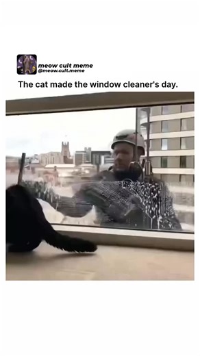 Meowcult Memes on Instagram: "This video captures a heartwarming interaction between a black cat and a high-rise window washer, a scene that has frequently gone viral for its playful charm. In the clip, the cat—often identified in similar viral stories as Guinness from London—becomes intensely focused on the window cleaner’s squeegee as it moves across the glass. The feline follows the rhythmic swiping of the tool with its paws and head, darting back and forth across the windowsill in an attempt