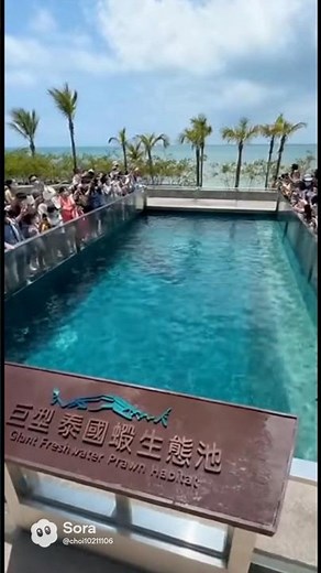 巨型泰國蝦出沒海生館｜親眼目睹2米巨蝦 Giant Thai Prawns in Aquarium – Shocking Close-Up #搞笑