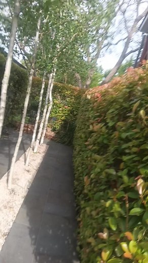 #Hedging4Life #HedgesEdgesTrimmingandSnipping | Hedges Edges Trimming and Snipping | Facebook