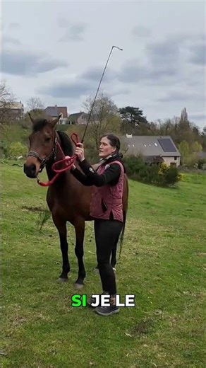 Apprendre à votre cheval à céder à la pression