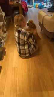 This Reunion Is Everything! Watch As This Dog Shows Its Owner Just How Much They Were Missed After A Week Apart.