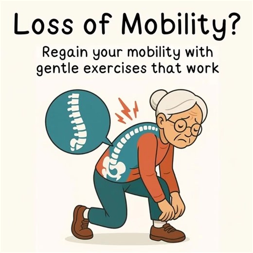87 reactions · 3 comments |  Trusted by 1000+ older adults. Get stronger, more mobile & pain-free with gentle programs that meet your body where it's at—all in 1 convenient bundle! | Better5.com - Gentle Fitness and Healthy Living | Facebook