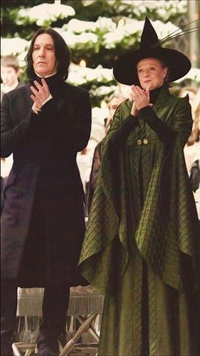 Harry Potter Professors Then and Now ⚡