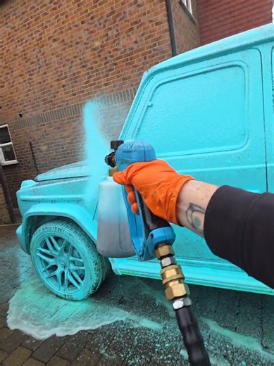 Understanding Car Ownership Through Detailing