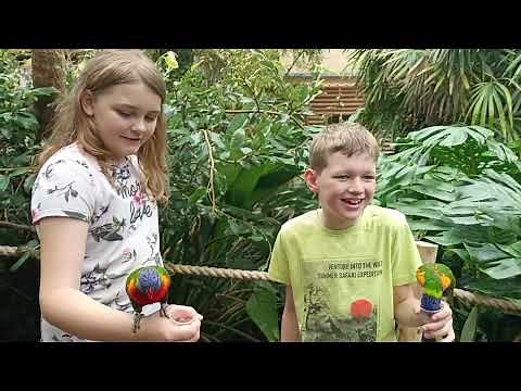 Little Zoo Keeper experience at Dudley Zoo and Castle