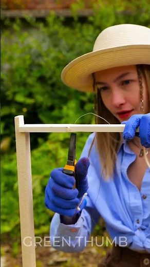 Build Your Own DIY Bees House and Harvest Honey with Ease!