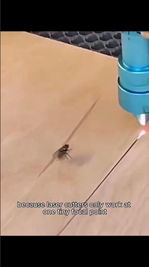 Why This Fly Survived a Laser Cutter