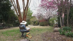 Spring is in the air and so is the annual UT Spring Plant Sale